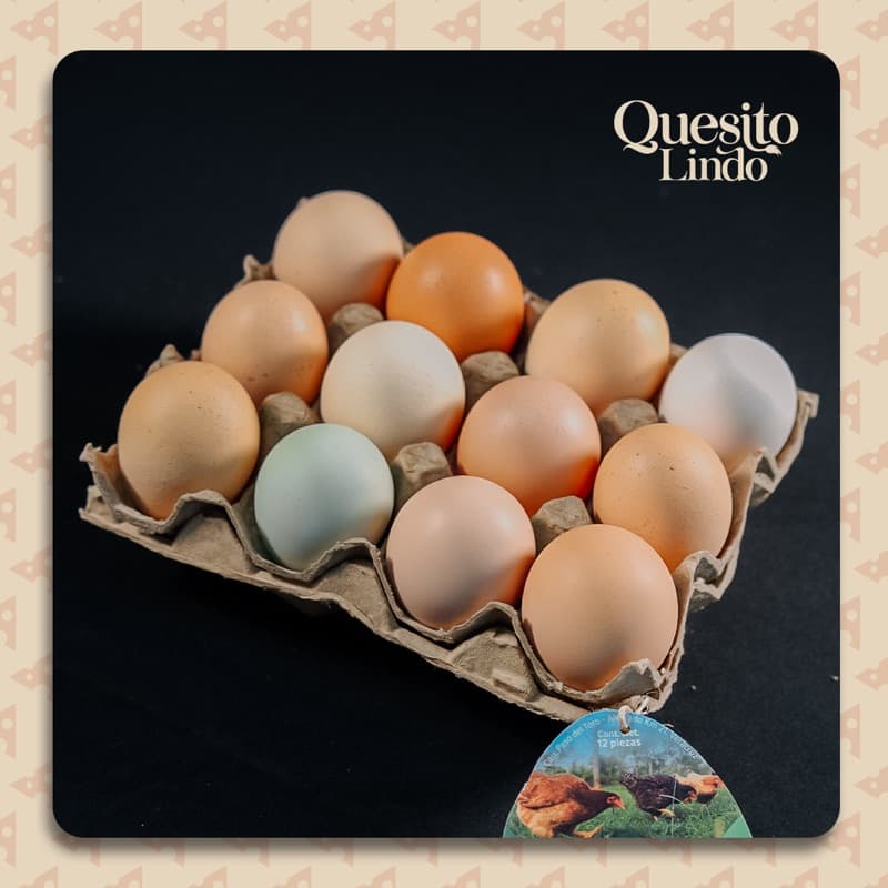 Huevos de Pastoreo